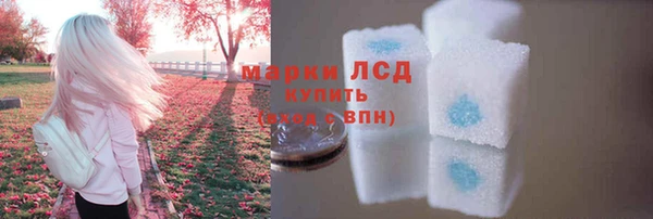 apvp Белокуриха